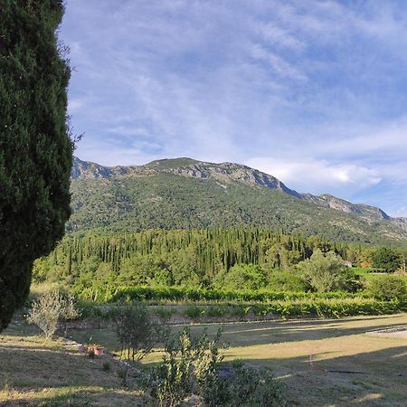 Country House Uros In Nature With Pool Lovorno Exterior photo